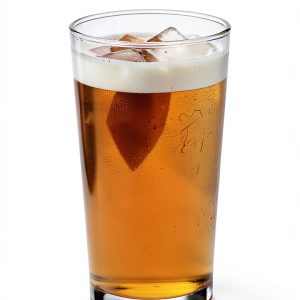 Wine and Beer Enthusiast's Guide by Skyhorse-0